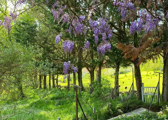 De Jouas Saint-Remy (Aveyron)