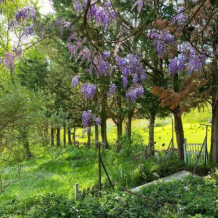 De Jouas Saint-Remy (Aveyron)